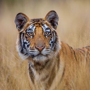 Image post by @discovery on Instagram