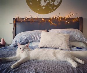 Image post by @hollysmee on Instagram