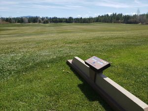 Image post by @flagdgolf on Instagram