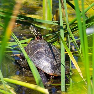 Image post by @mkecountyparks on Instagram