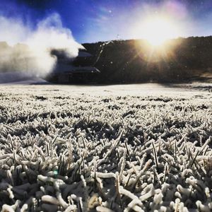 Image post by @granbyranch on Instagram
