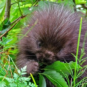 Image post by @nationalparkservice on Instagram