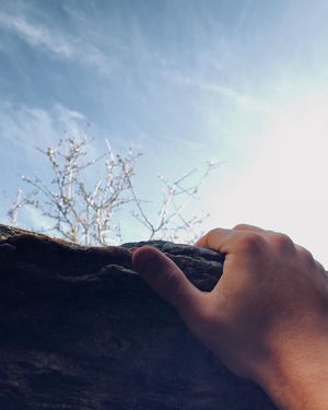 Image post by @sterling_voth on Instagram