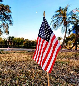 Image post by @cityofveniceflorida on Instagram