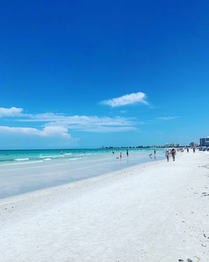 Image post by @visitsarasotacounty on Instagram