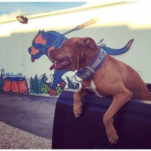 Image post by @manningsumner on Instagram