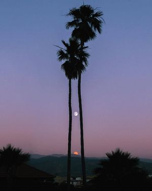 Image post by @fubiz on Instagram