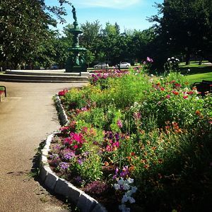 Image post by @kidsgardening on Instagram