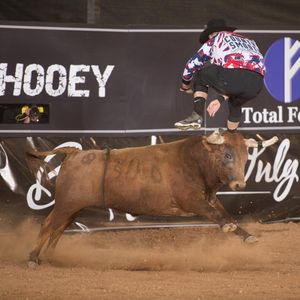 Image post by @bullfightersonly on Instagram
