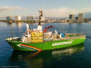 Image post by @greenpeace on Instagram