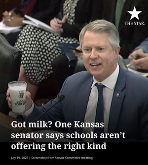 Image post by @thekansascitystar on Instagram