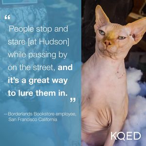 Image post by @kqed on Instagram