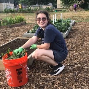 Image post by @kidsgardening on Instagram