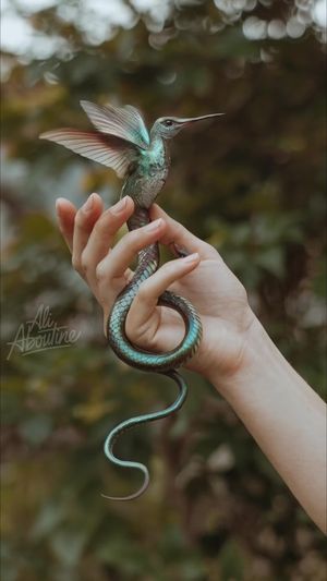 Video post by @ali.aboutine on TikTok
