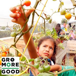 Image post by @kidsgardening on Instagram