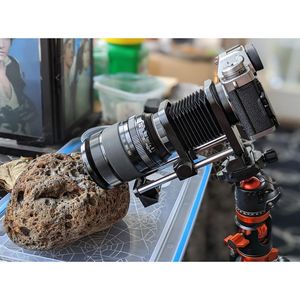 Image post by @fotodioxpro on Instagram