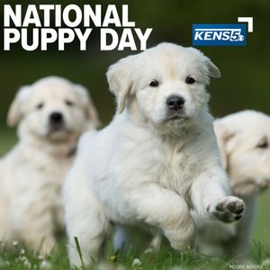 Image post by @kens5 on Instagram