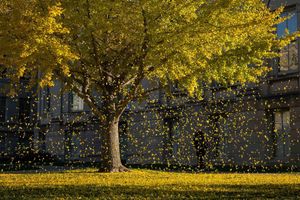 Image post by @uiowa on Instagram