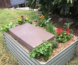 Image post by @kidsgardening on Instagram