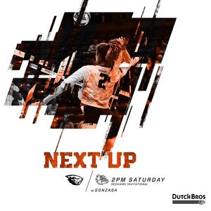 Image post by @beavervball on Instagram