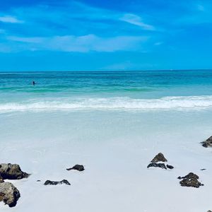 Image post by @visitsarasotacounty on Instagram