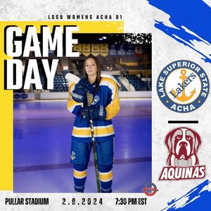 Image post by @lakestatewomenshockey on Instagram