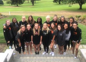 Image post by @beavervball on Instagram
