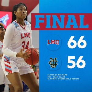 Image post by @lmulionswb on Instagram