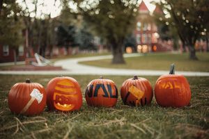 Image post by @nauflagstaff on Instagram