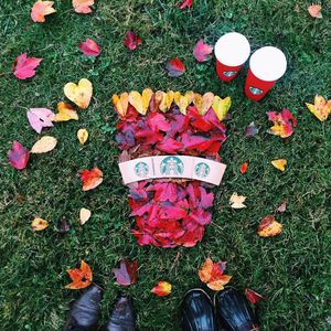 Image post by @starbucks on Instagram