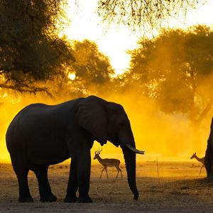Image post by @chiawasafaris on Instagram