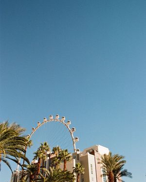 Image post by @slow_snaps on Instagram