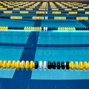 Image post by @gustieswimdive on Instagram
