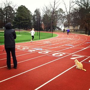 Image post by @richmondxctf on Instagram