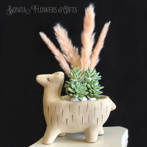 Image post by @bonita_flowers on Instagram