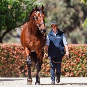 Image post by @australianturfclub on Instagram