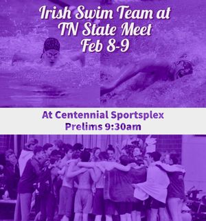 Image post by @swim_divefrhs on Instagram