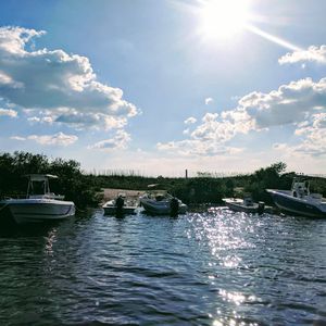 Image post by @visitsarasotacounty on Instagram
