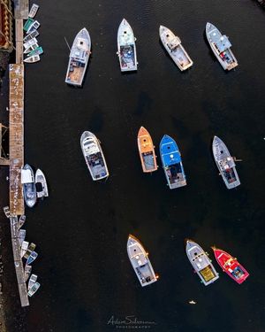 Image post by @themainemag on Instagram