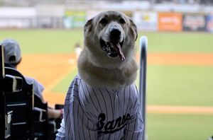 Image post by @bhambarons on Instagram