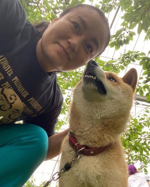 Image post by @meiko_satomura on Instagram