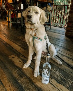 Image post by @10thmtnwhiskey on Instagram