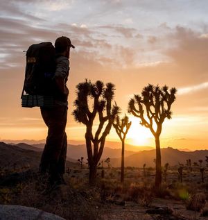 Image post by @nationalparkservice on Instagram