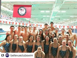 Image post by @arenausa on Instagram