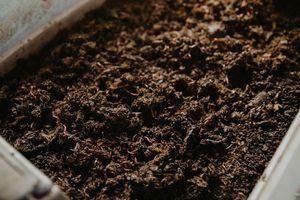 Image post by @GreenhillWormFarm on Facebook