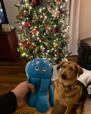 Image post by @LiveLikeRoo on Facebook