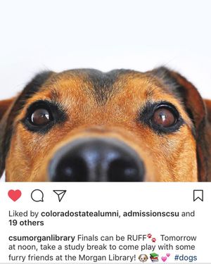 Image post by @csunaturalsciences on Instagram