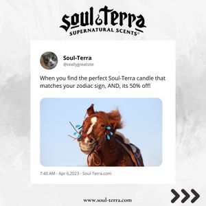 Image post by @soulterra on Instagram