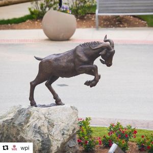 Image post by @wpiathletics on Instagram