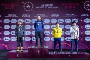 Image post by @usawrestling on Instagram